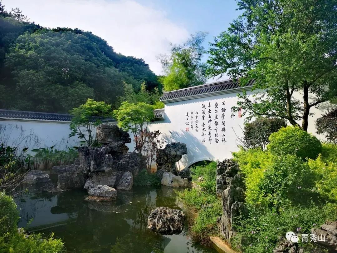 南宁马拉松路线图最新图,南宁半程马拉松路线图