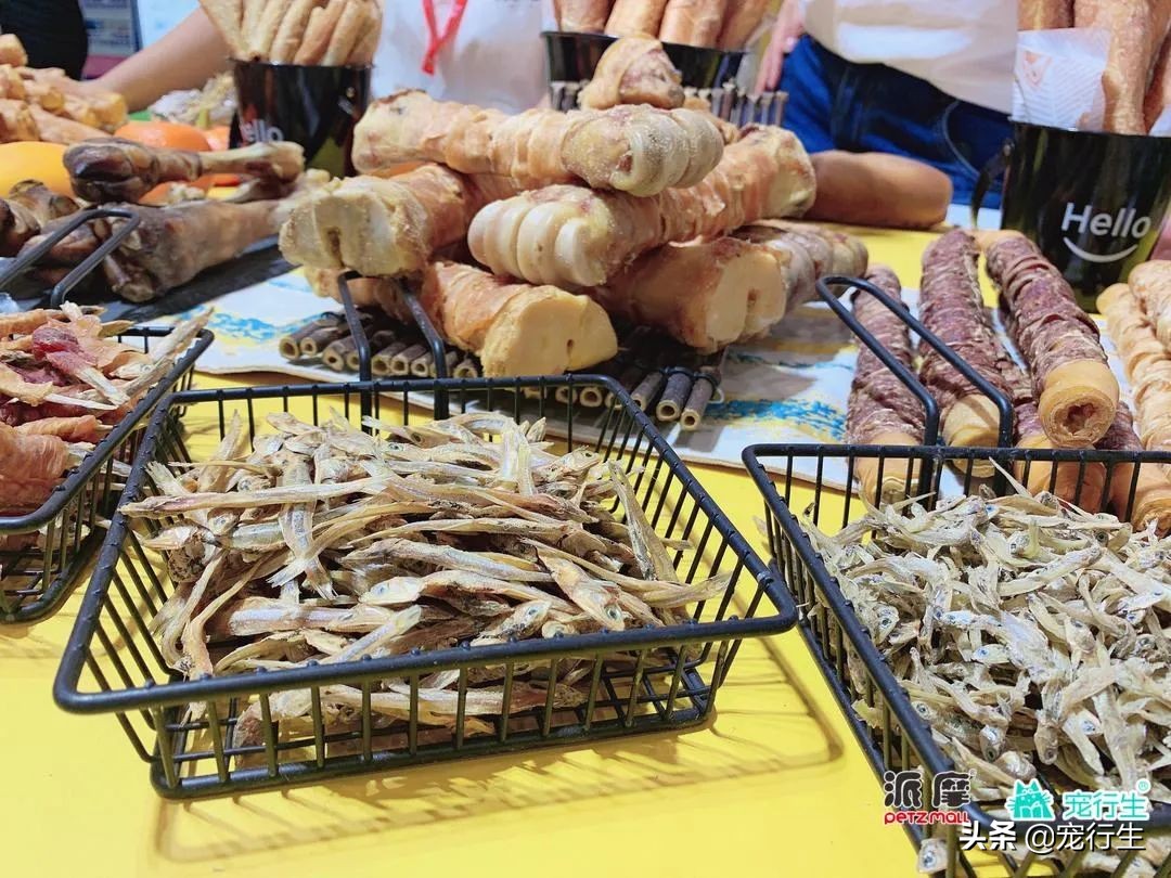 2020CIPS宠物展于广州开展，一大波萌物正在靠近