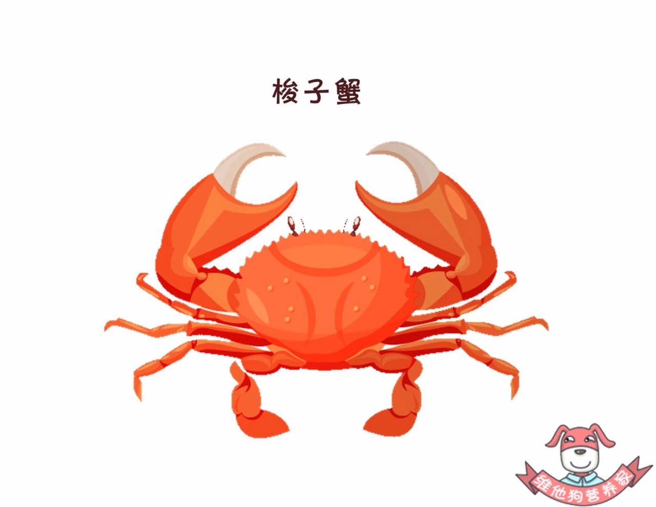 蟹黄蟹膏是什么蟹,河蟹蟹黄蟹膏是什么样的