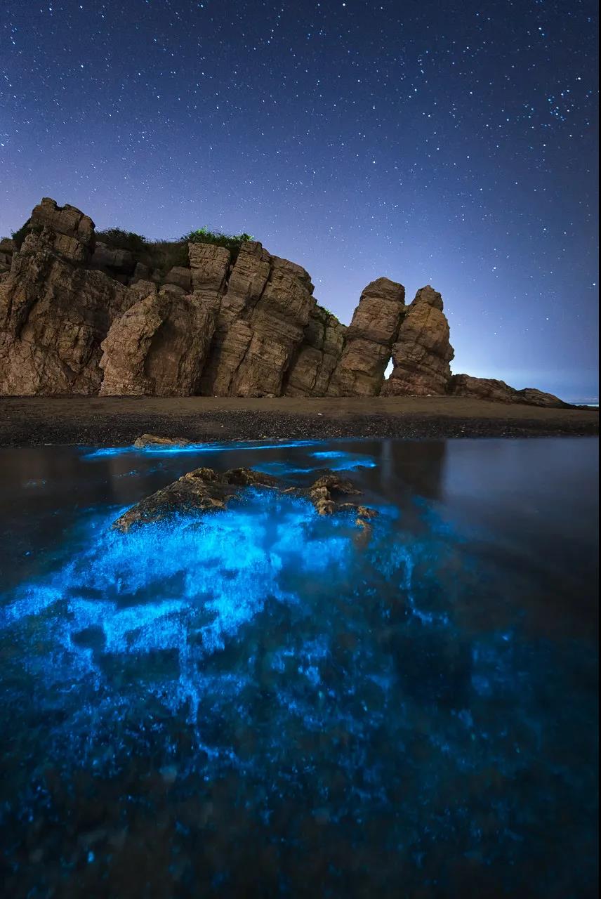 三亚和厦门哪个更值得去玩,三亚和厦门哪个更值得去游玩