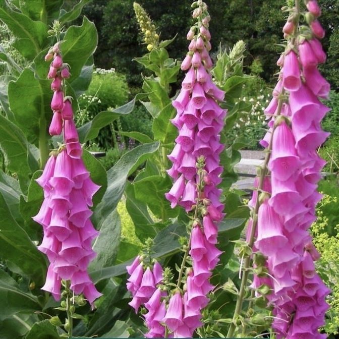 中考誓师誓词文案,中考誓师大会誓词教师寄语