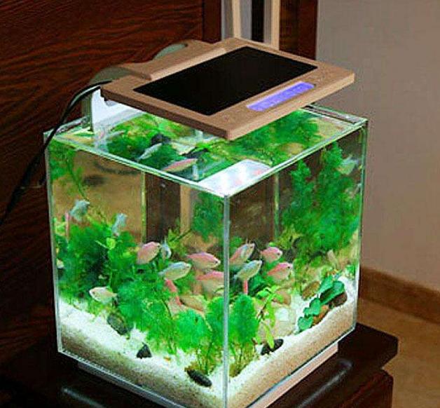 最好的冷却水箱,一般用多大的水箱好