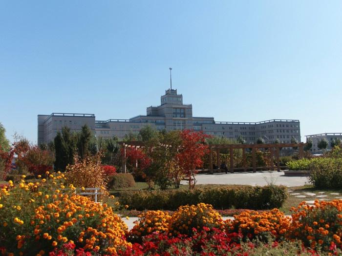 黑龙江省200-300分的公办专科学院,哈尔滨华德学院和东方学院哪个好