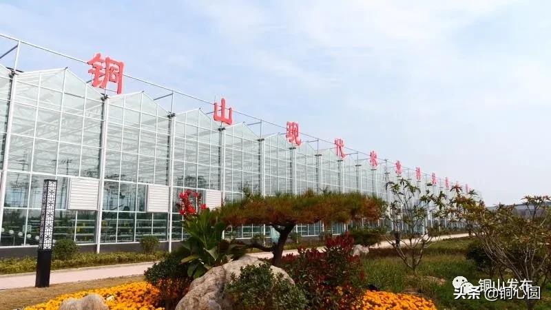 家乡的质感,铜山怎么样