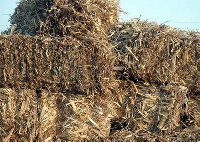 泌乳方法,泌乳的手法