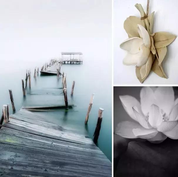 成都大树装饰简介,成都大树装饰装修套餐