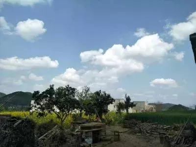 手竿钓草鱼还是海竿好,钓草鱼用海竿还是手竿好