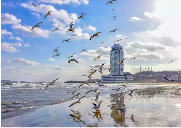 想当飞行员有什么途径,清北联合培养飞行员