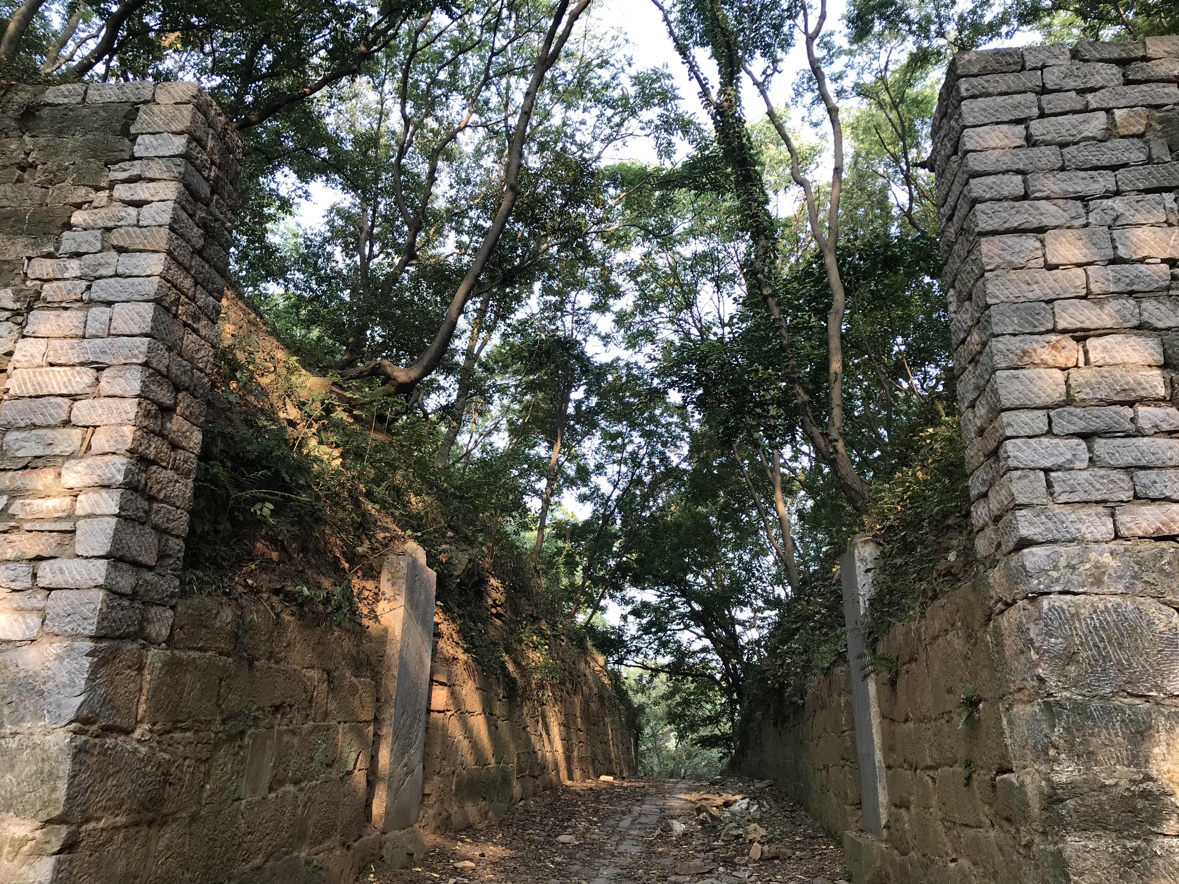 滁州除了琅琊山还有哪里好玩,安徽滁州琅琊区好玩的