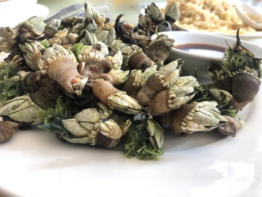 外伶仃岛要花多少钱,外伶仃岛人均消费多少钱