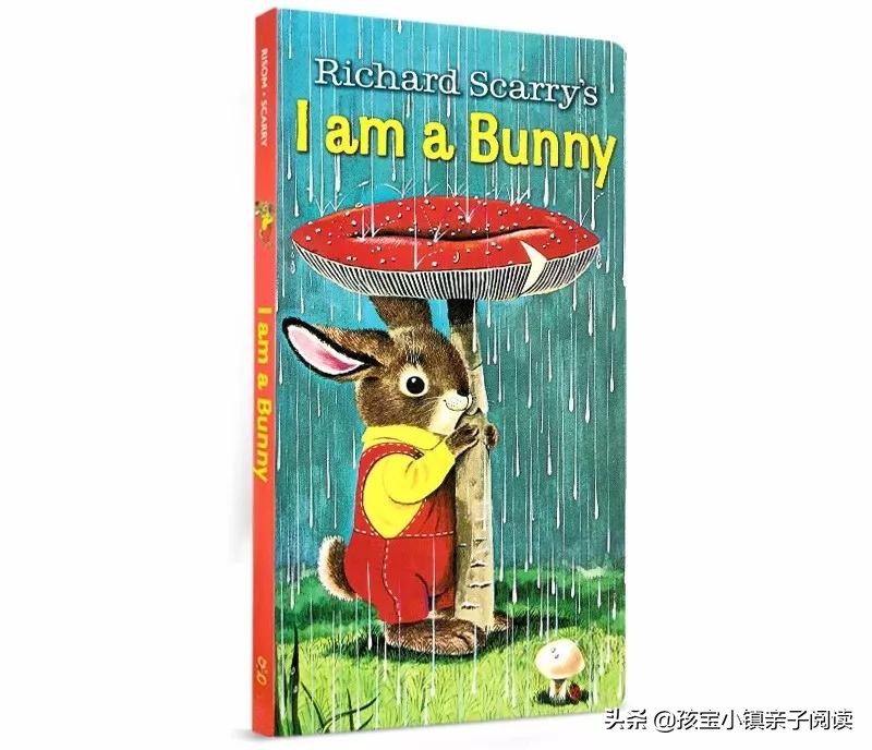 0-2岁宝宝最全英文绘本推荐（下）「吐血整理，建议收藏」