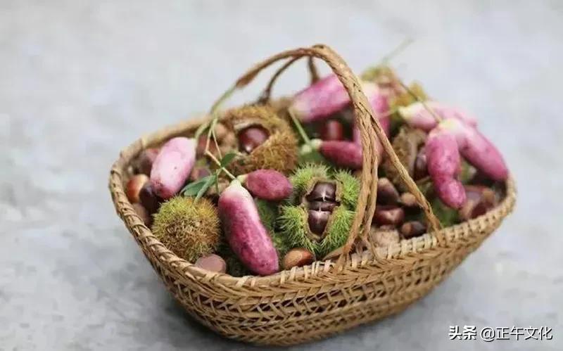 隐居终南山小龙女,一人隐居生活