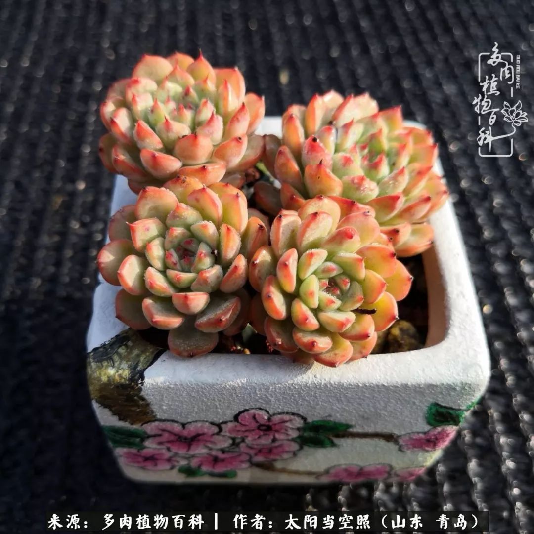 离家在外才发现最难忘的是故乡情,离家在外看见家乡的东西