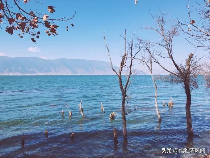 微小说最心酸的秘密,微小说秘密情人