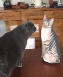 猫咪咬人怎么区分真咬假咬,猫咪如果经常咬你的手怎么办