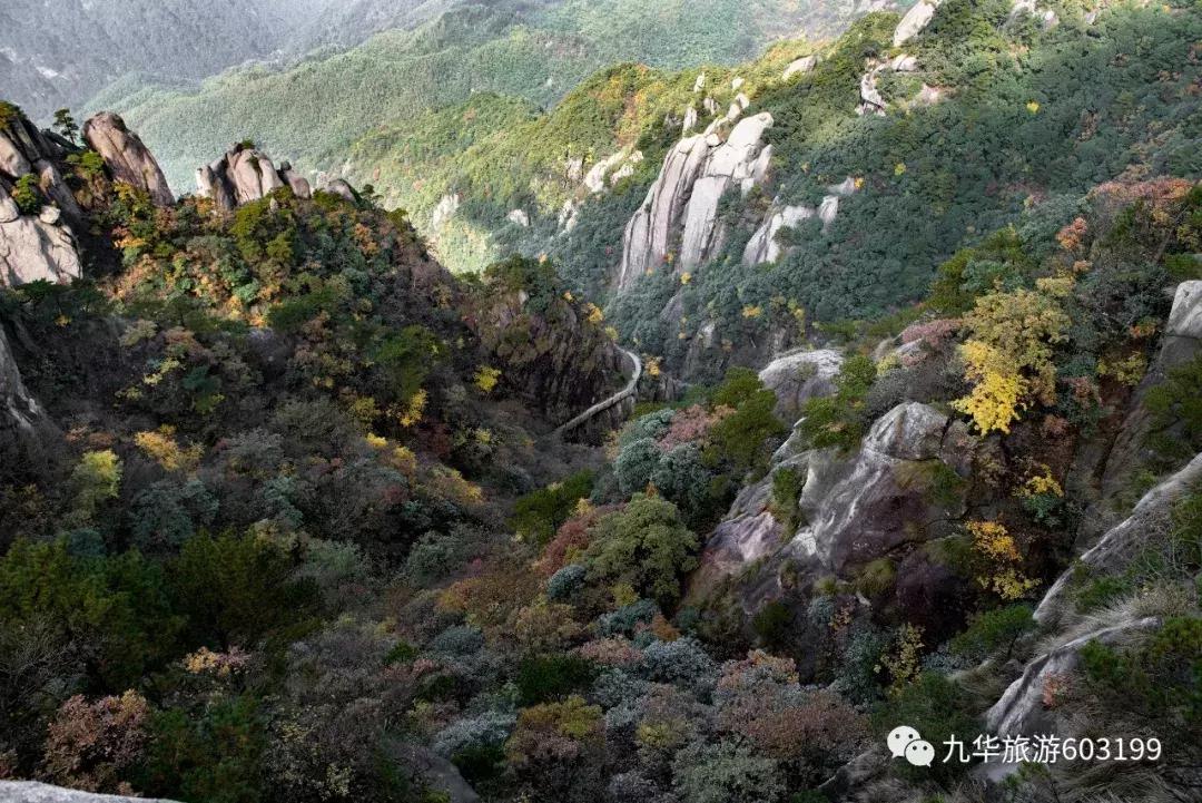九华山游玩攻略免费门票,九华山风景区门票包含哪些景点