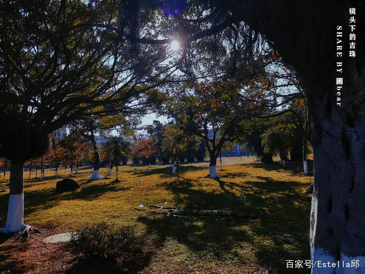 我因考研女朋友要和我分手怎么办,女朋友要考研我要不要分手