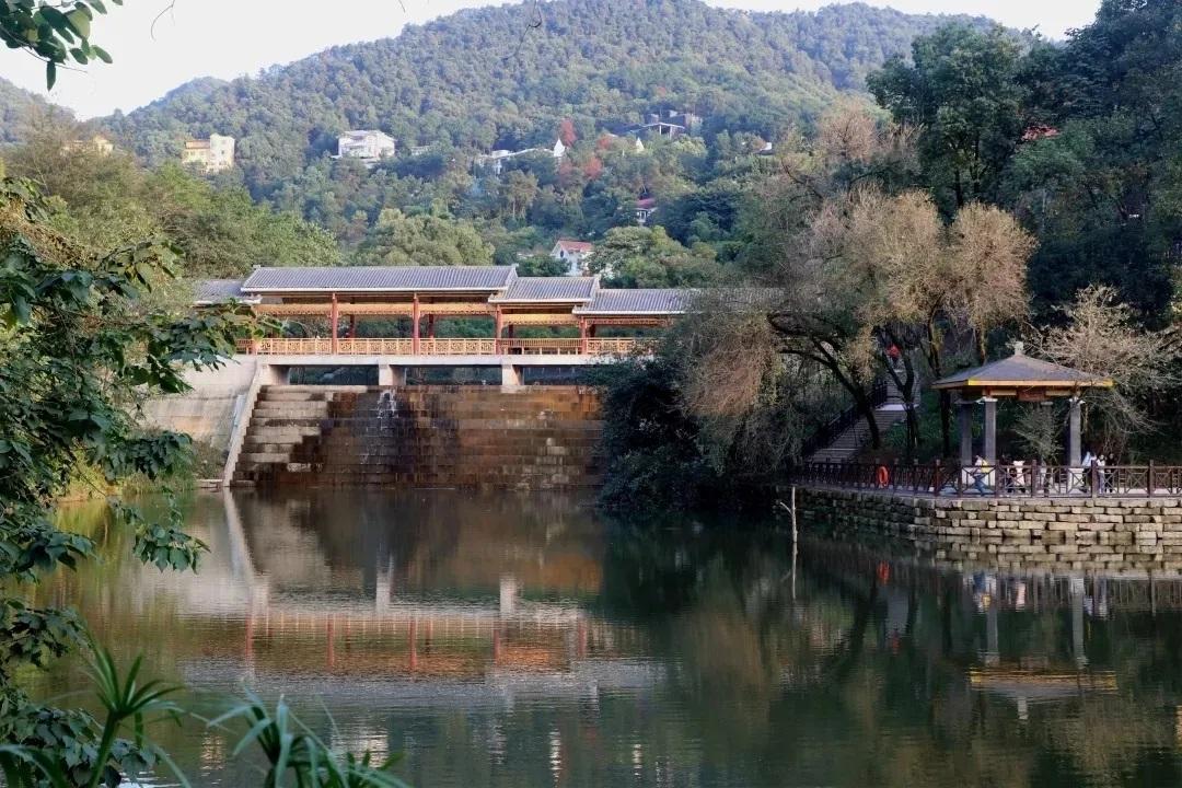 重庆的大学排名一览表及分数线,重庆最低调大学