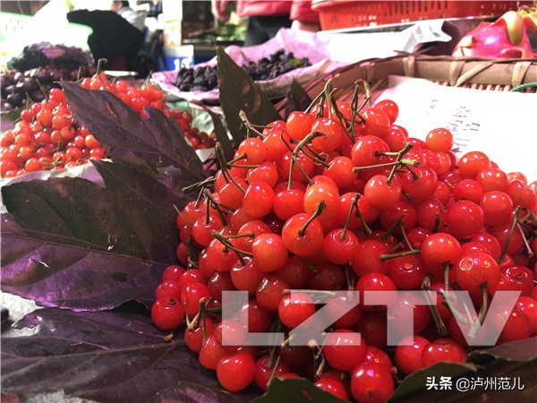 泸州樱桃团购,江门新鲜樱桃多少钱一斤