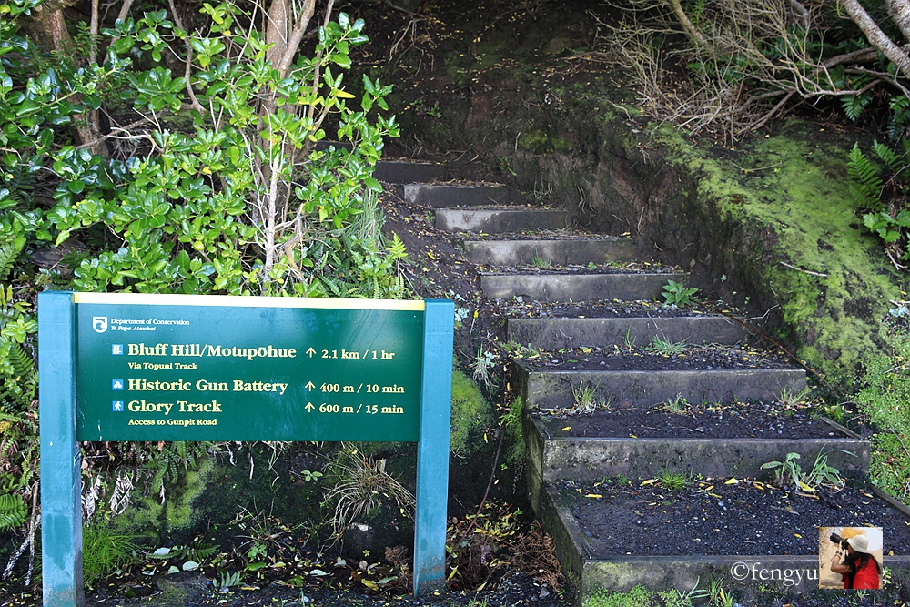 新西兰有哪些景观,新西兰风景最好的地方在哪里