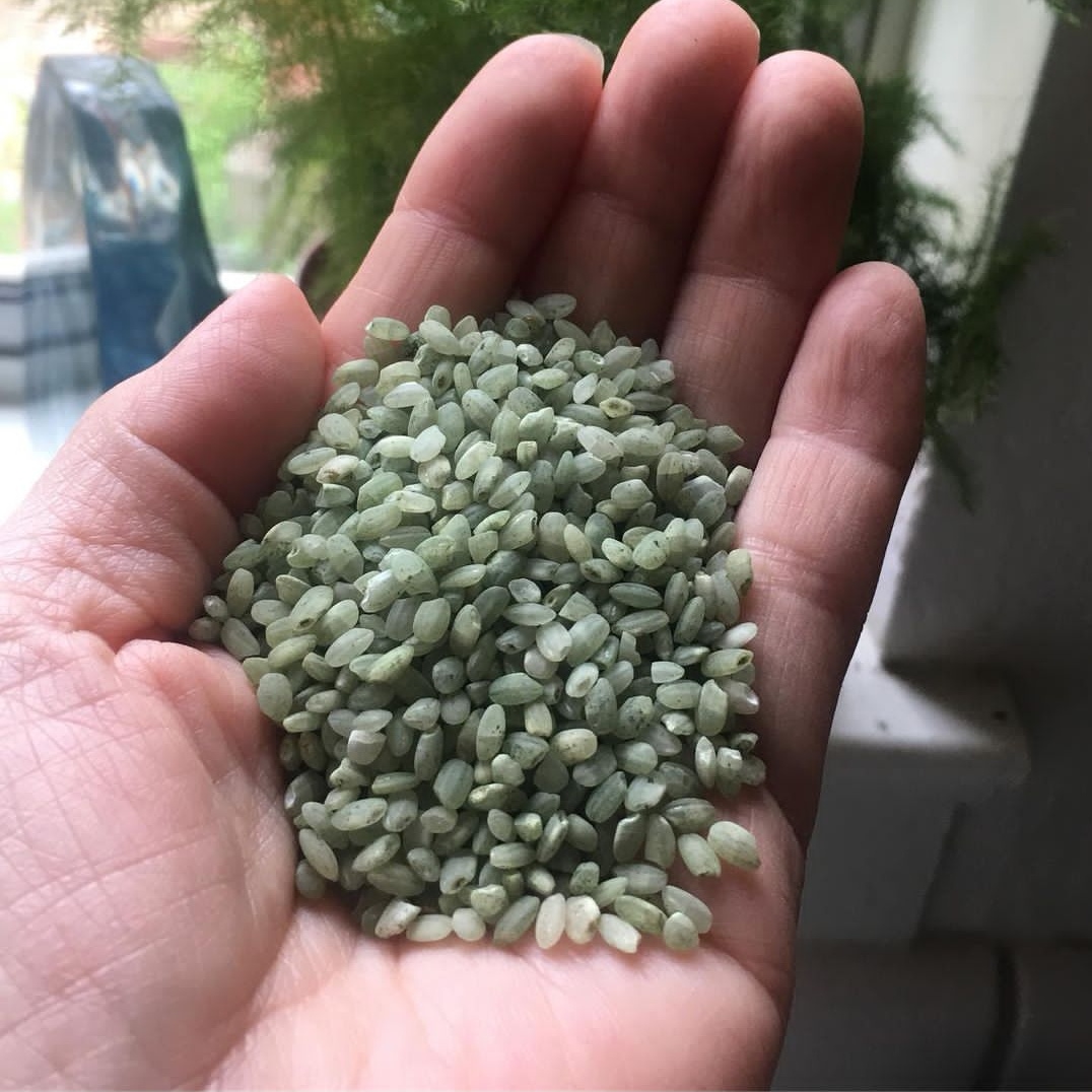 超市的绿色米是什么,超市里卖的绿色的米是什么