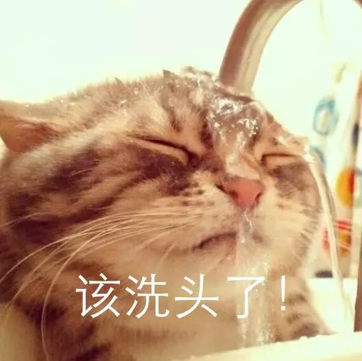 头发出油毛囊堵塞掉发怎么办,头皮油脂多毛囊堵塞用什么洗发水