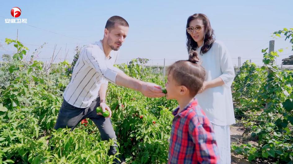 中法混血家庭回归《民宿里的中国》，开启一场舌尖上的慢旅行