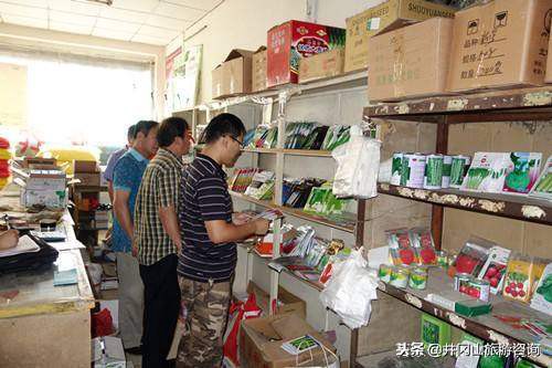 想回农村创业做什么生意好,想回乡下创业做什么好