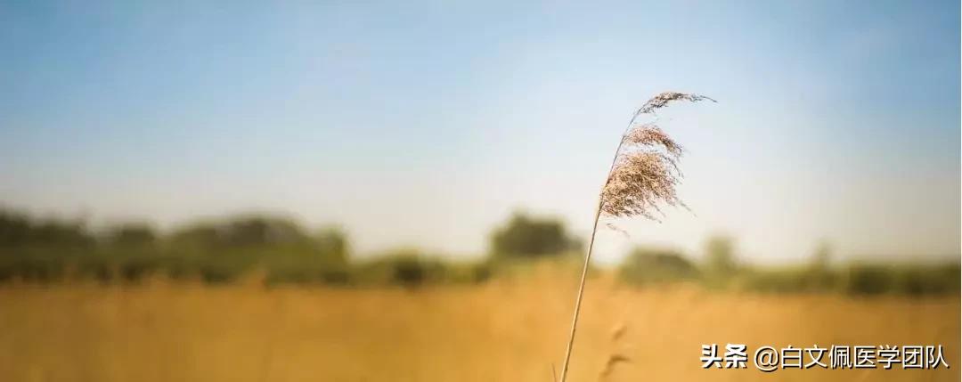 子宫腺肌症并多发性子宫肌瘤,多发性子宫肌瘤伴有子宫腺肌症