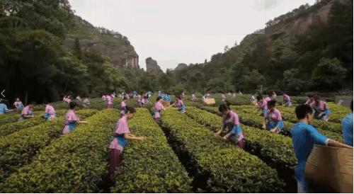 福建南平延平区几线城市,福建南平是哪个地区