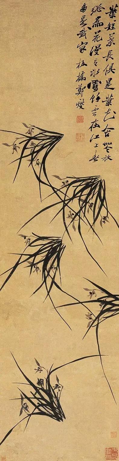 赏析郑板桥写意兰花画,郑板桥题画兰草书图片