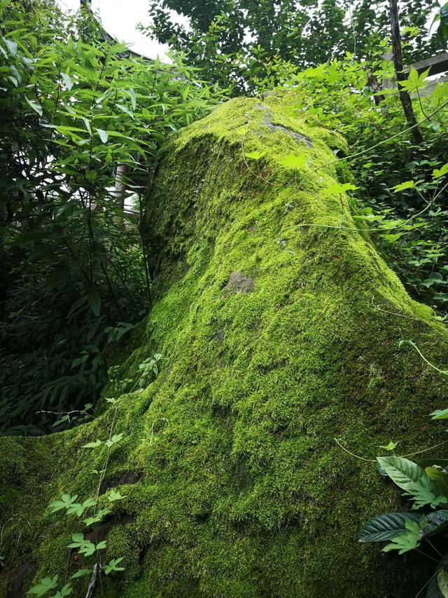 灵岩寺静心感悟,佛教圣地汾阳护国灵岩寺