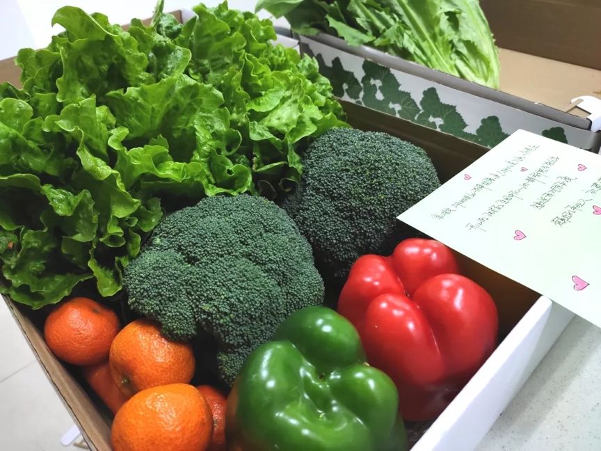 “这条命是物业给的！”从防控措施看杭州各小区物业水平