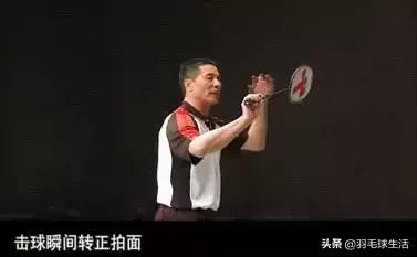 羽毛球小常识100条简短,羽毛球的五个小知识