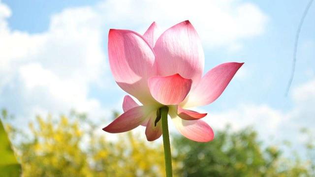 教你看穿人心的文章,看穿人性的十个秘诀