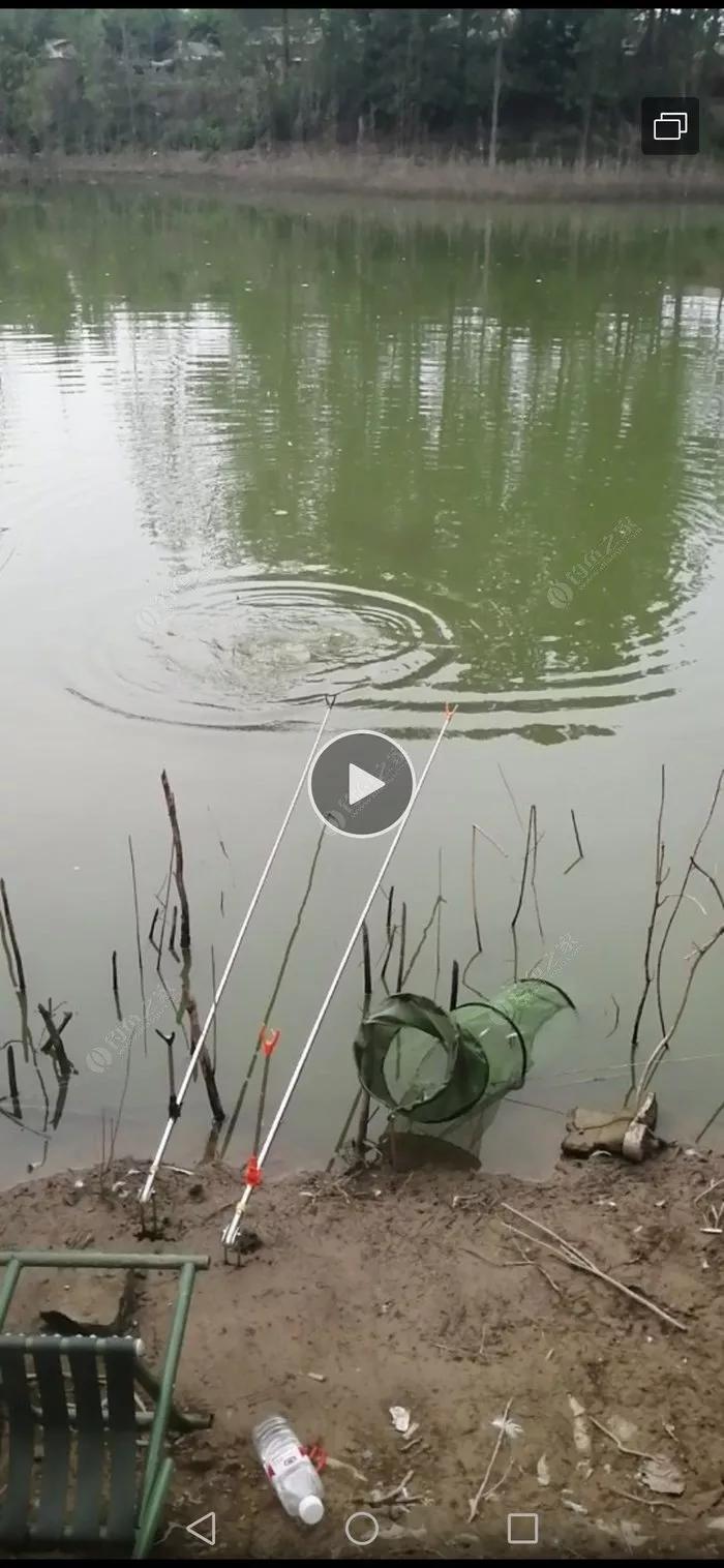 探钓废旧鱼塘之断竿,一波三折