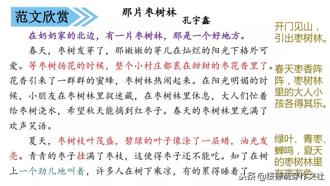 三年级上册语文这儿真美作文200字,三年级上册语文习作这儿真美