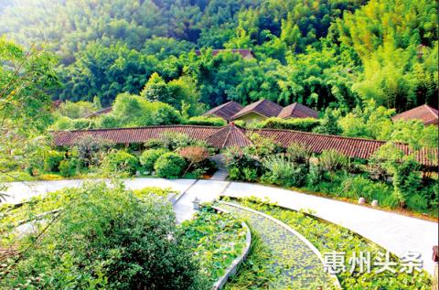 涓浗澶╃劧姘у惂榫欓棬,涓浗榫欓棬妫灄姘у惂