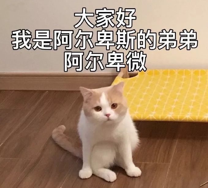 今秋必备的单品你准备好了吗,今秋最好的礼物排行榜