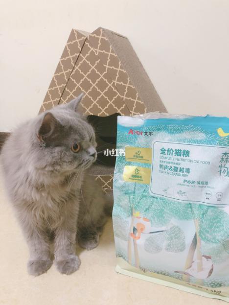 小红书推荐猫粮,猫粮小红书达人