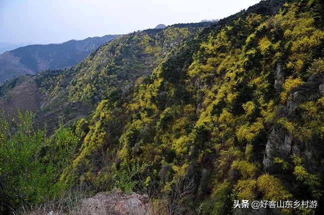 济南市五一假期游玩,济南旅游活动