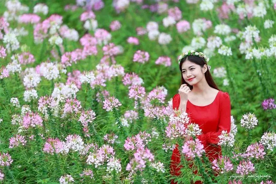 花果山芳香小镇,广州花果山芳香小镇门票多少