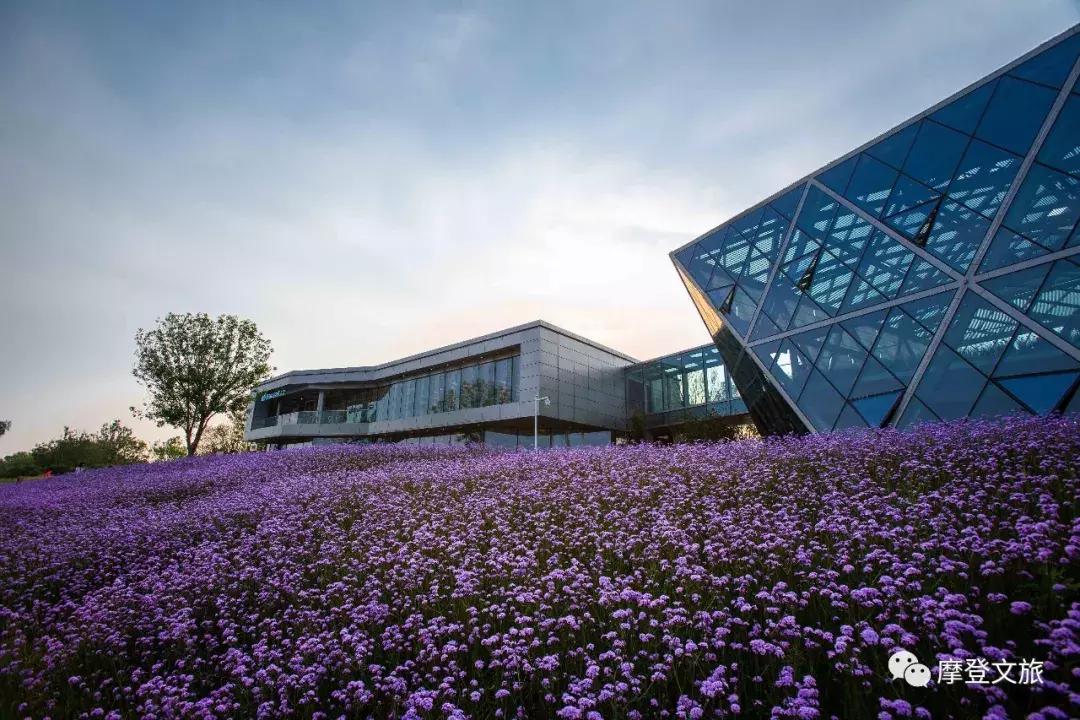 适合多家庭的亲子游,摩登家庭中国旅游