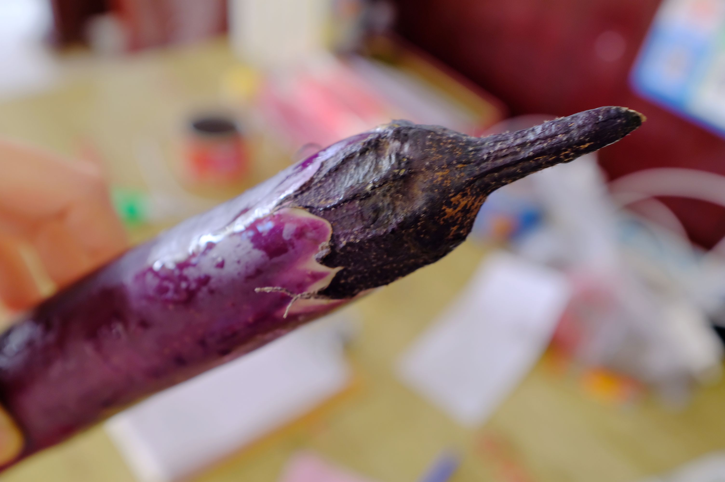 北国明珠黑河,黑河一颗璀璨的明珠