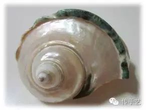 故宫都杀到你脸上来了，我给配上解药让毒发更欢快（附制作工艺）