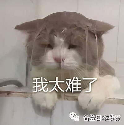 「谷导日本」往日本寄快递选择哪些快递公司？