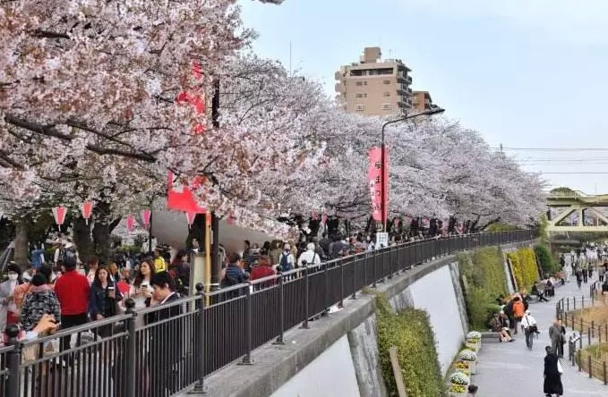 东京晴空塔民宿价格,东京晴空塔附近的性价比酒店