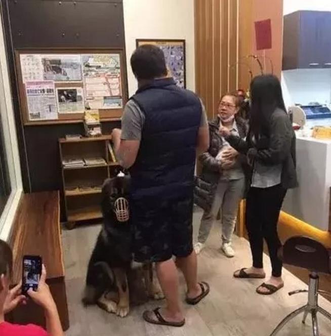 带狗狗打针回来很狂躁,带着狗子去打针