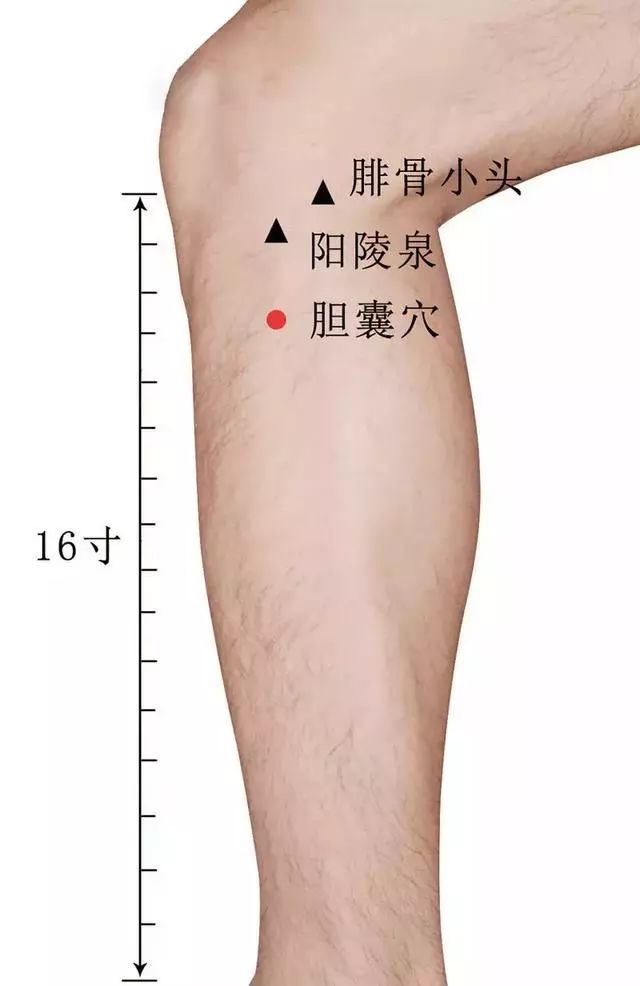 针灸治疗痛症的选穴原则,针灸奇穴疗法大全