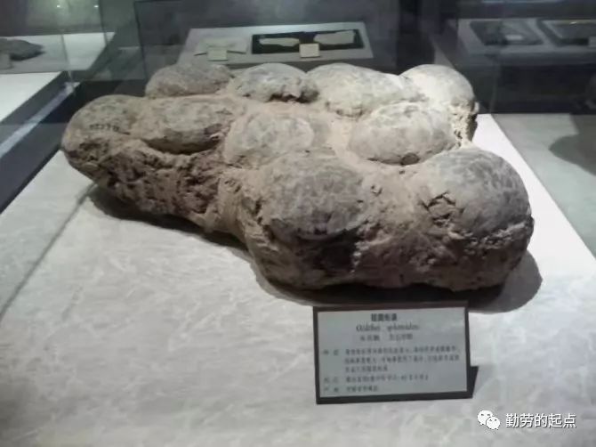 有品位的人都爱逛博物馆,有品位的人都爱去博物馆